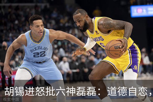 胡锡进怒批六神磊磊：道德自恋，又飘出了公众价值共识